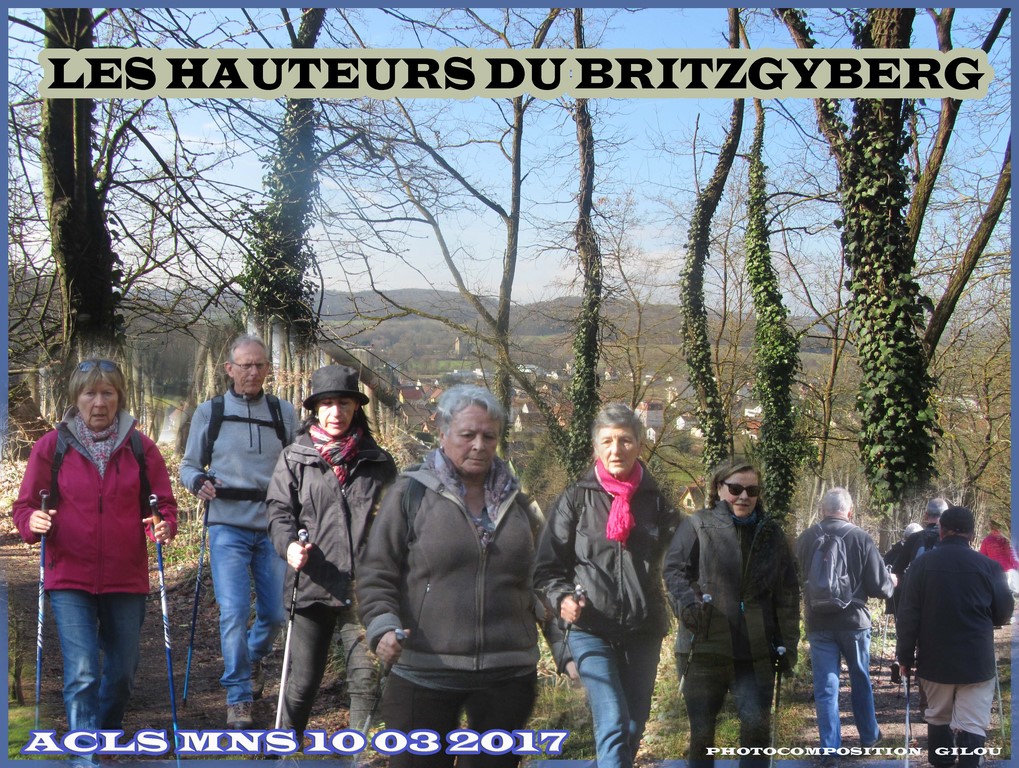 Les Hauteurs du Britzgyberg (Copier).jpg