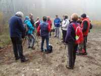 Brouillard au départ de la rando des étangs