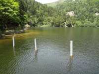 Repas sur les rives du lac de Schiessrothried