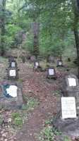 Wattwiller : cimetière des Uhlans en pleine forêt