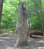 2022-05-10 Menhir de Langenstein