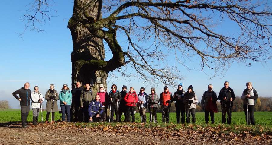 groupe au Chêne Tafelbaum.jpg