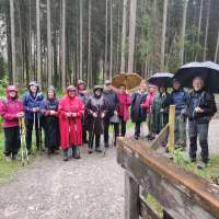 2024-05-21 Tannheim