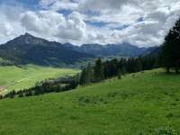 Tannheim