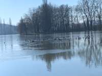 2025-01-14 Walheim