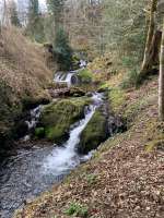 Storckensohn