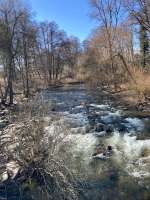 2026-03-03 Michelbach