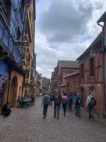 2026-03-10 Mittelwihr