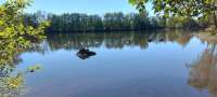 Le Plateau des Grilloux
